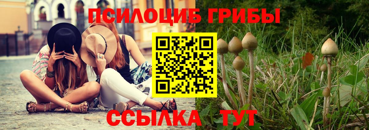 Королёв  Псилоцибиновые грибы ЛСД  Вход с VPN 